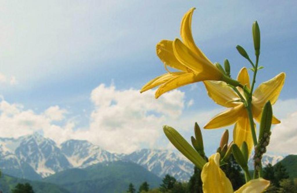 Pension Blue Hakuba Bagian luar foto
